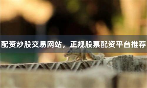 配资炒股交易网站，正规股票配资平台推荐