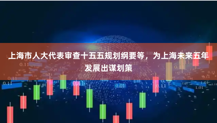 上海市人大代表审查十五五规划纲要等，为上海未来五年发展出谋划策
