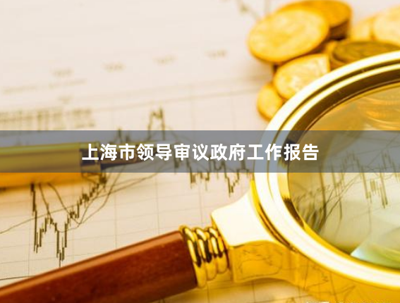 上海市领导审议政府工作报告