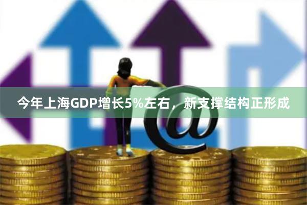 今年上海GDP增长5%左右，新支撑结构正形成