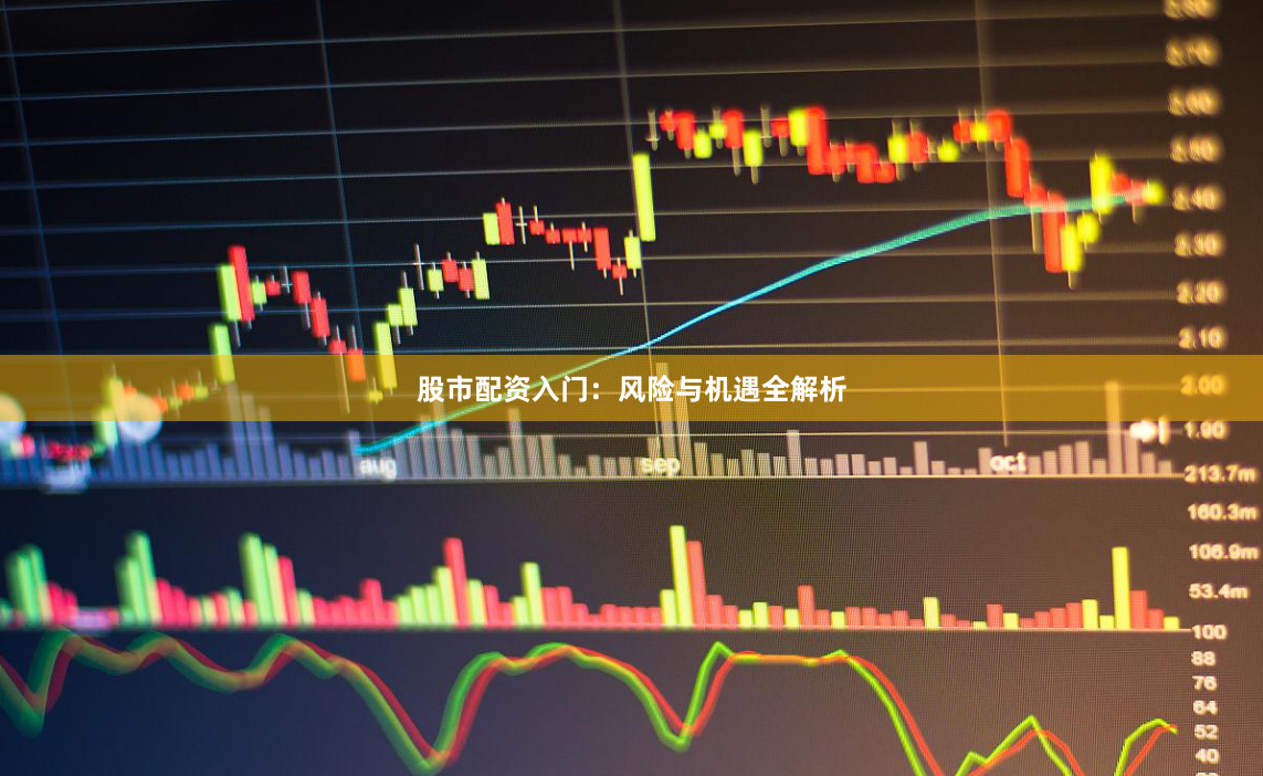 股市配资入门：风险与机遇全解析